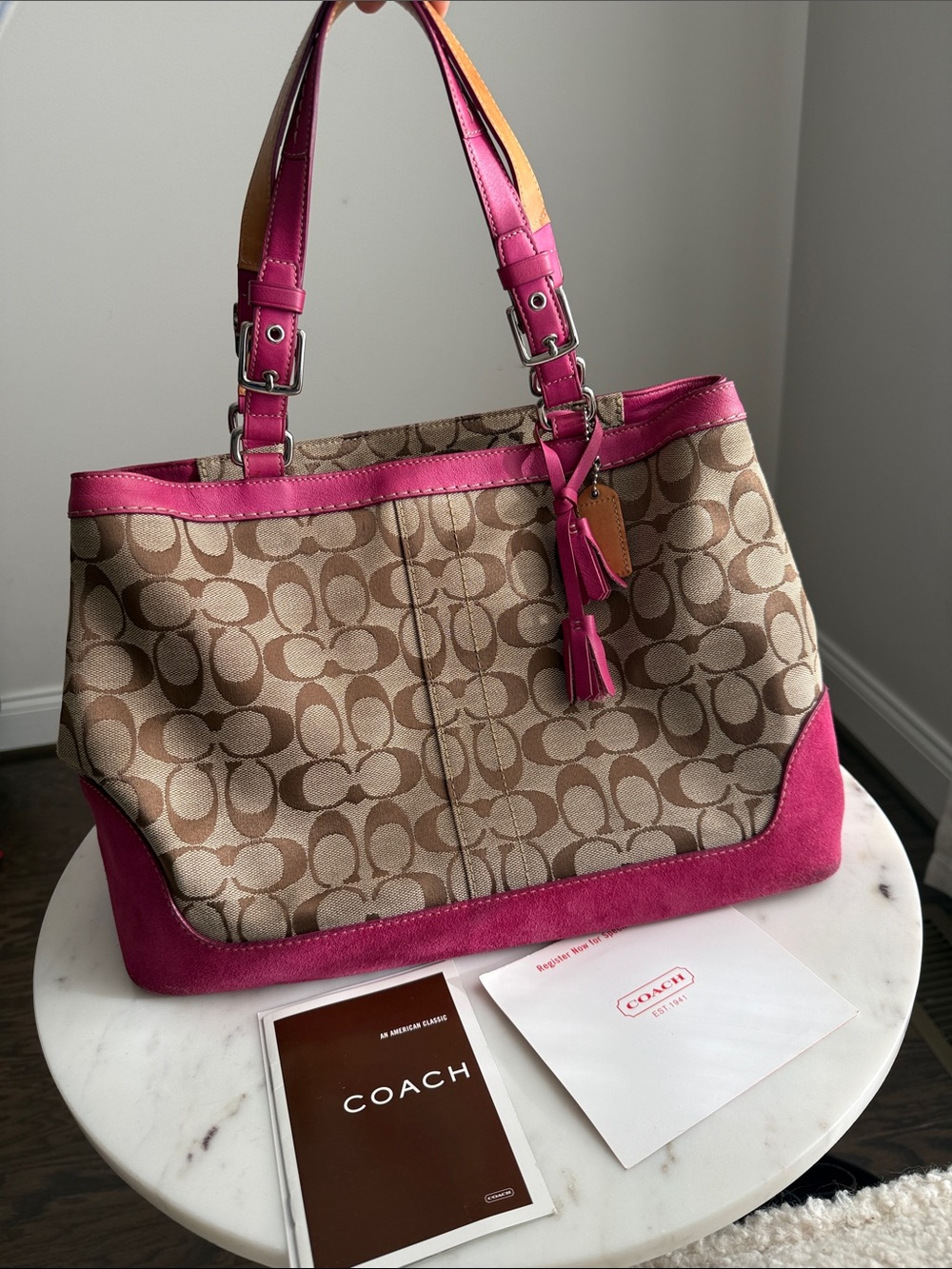 Vintage Coach Bag